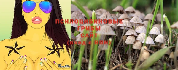 не бодяженный Киреевск