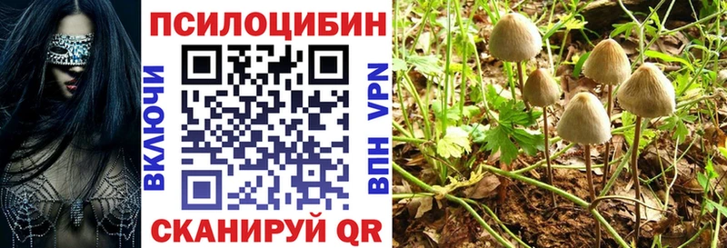 Купить закладки  Углич  Галлюциногенные грибы Psilocybe 